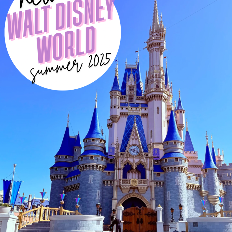 4 Must-See New Experiences at Walt Disney World (Summer 2025 Trip Recap +&nbsp;Tips!)
